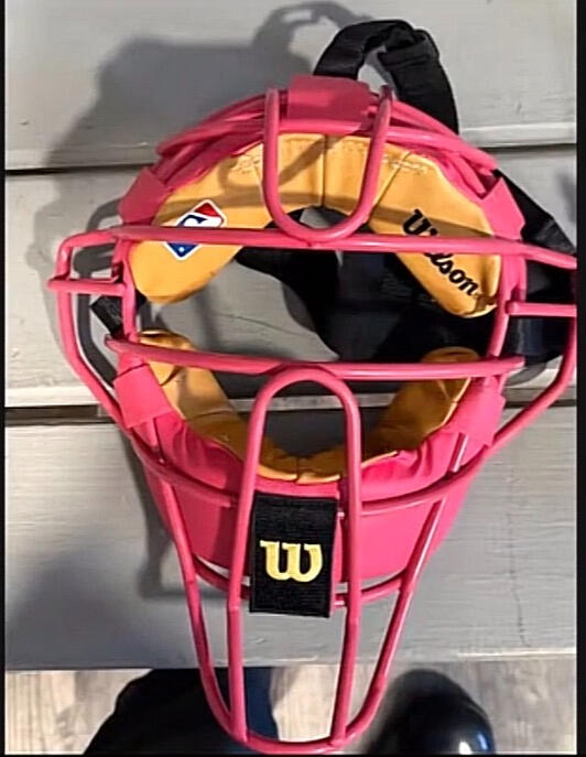 The Pink Mask